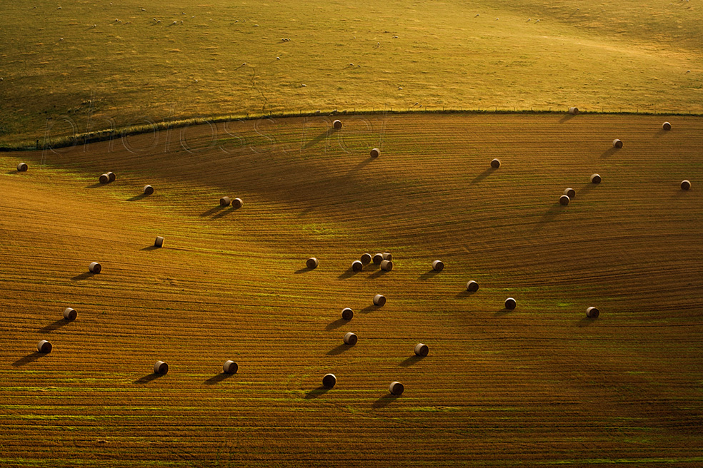Early morning on the South Downs in Sussex