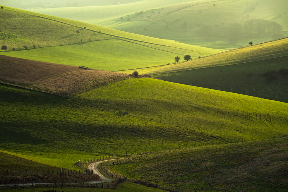Winter afternoon on the South Downs in East Sussex