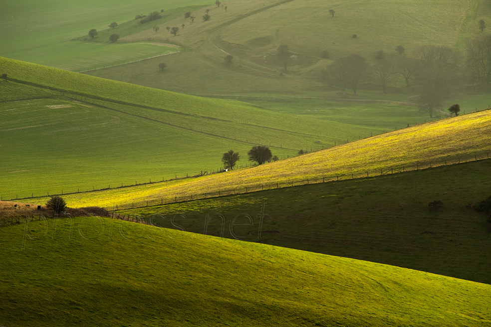 Winter afternoon on the South Downs in East Sussex