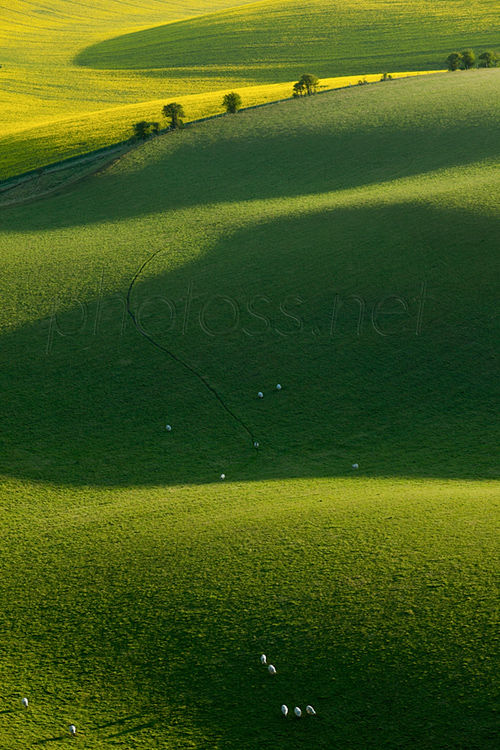 Spring morning on the South Downs in East Sussex