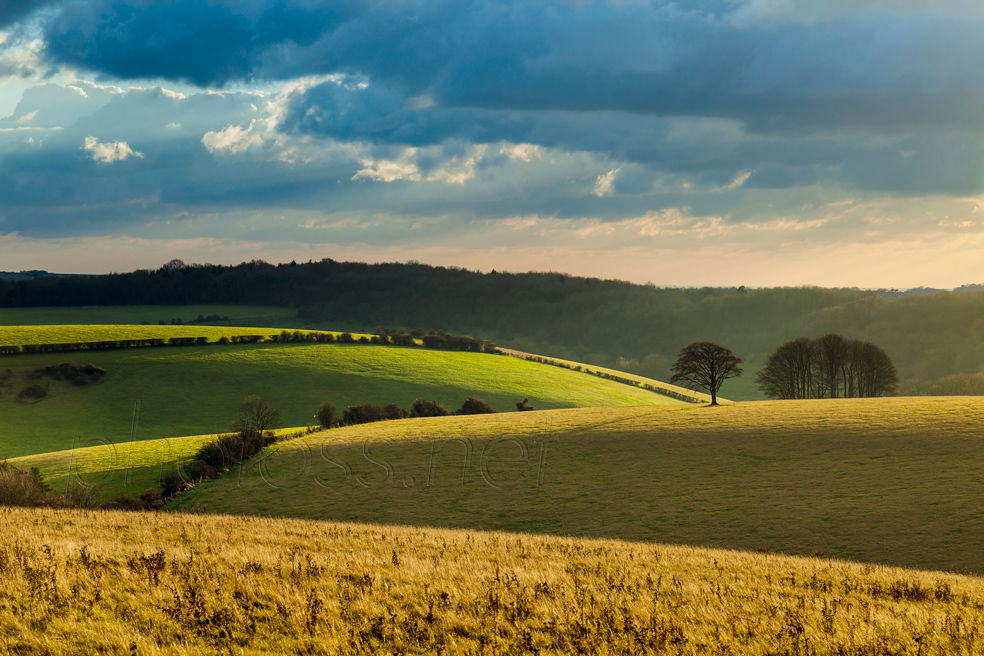 Winter on the South Downs near Brighton