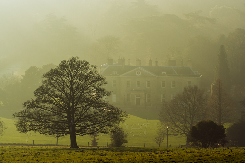 Hazy winter afternoon in Stanmer