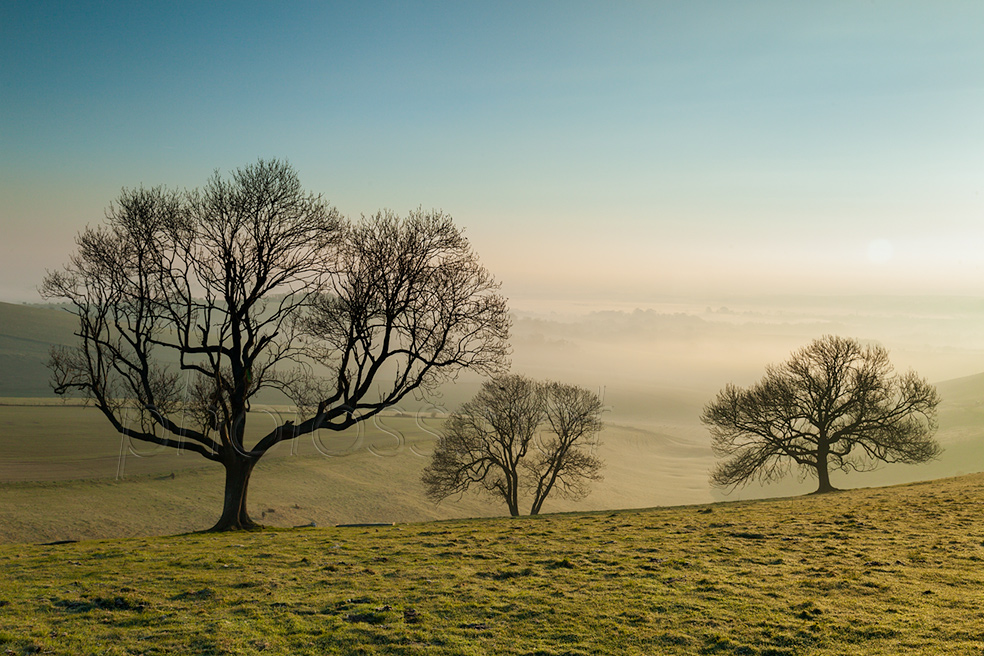 Misty spring morning on the South Downs in West Sussex