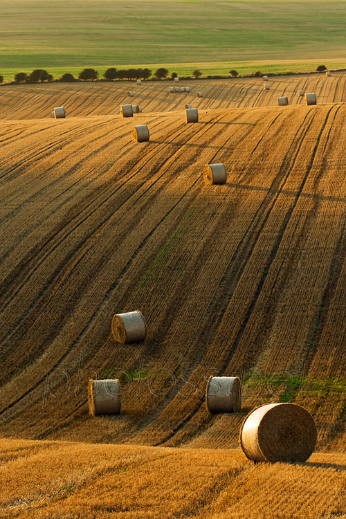 Straw bales on the South Downs in summer