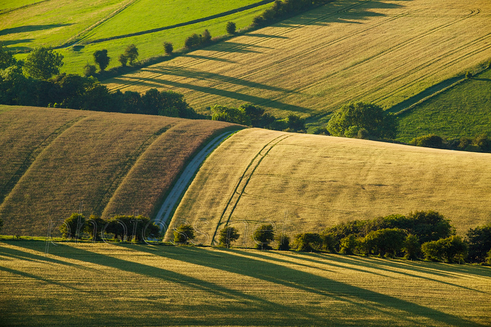 Summer evening on the South Downs near Brighton