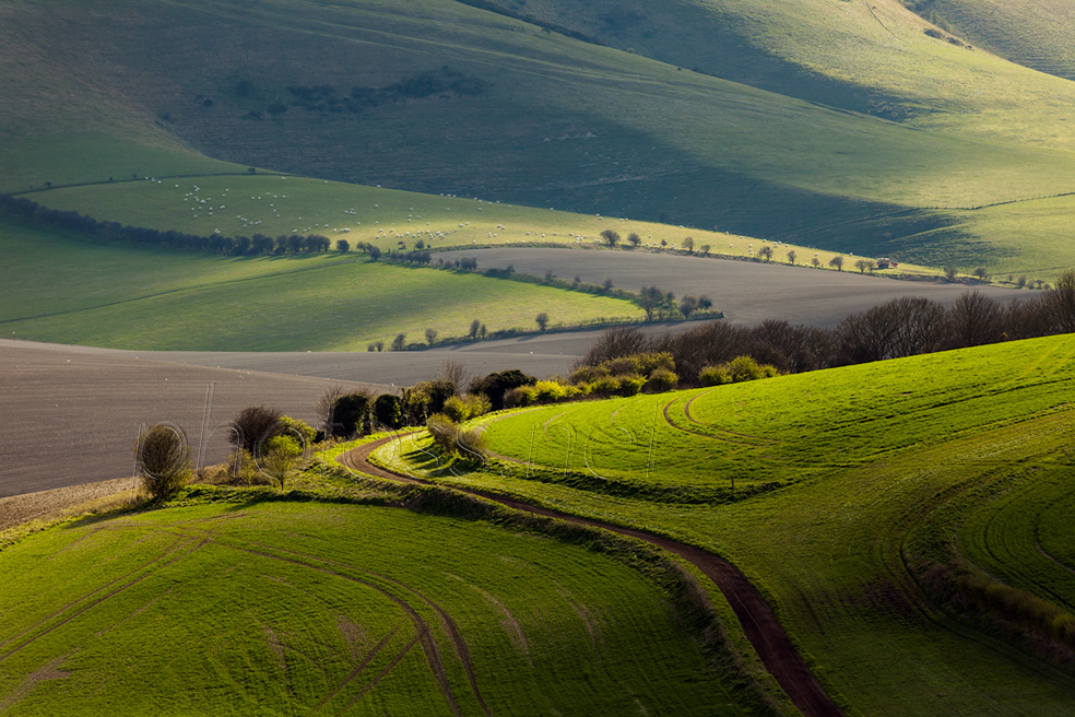 Early spring on the South Downs in East Sussex