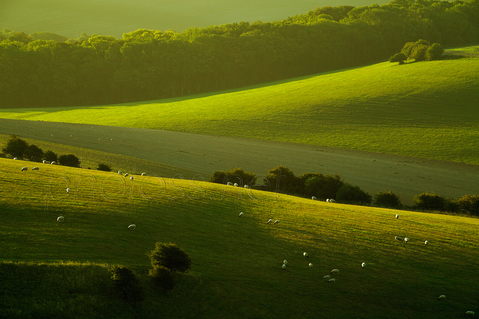 September morning on the South Downs in Sussex