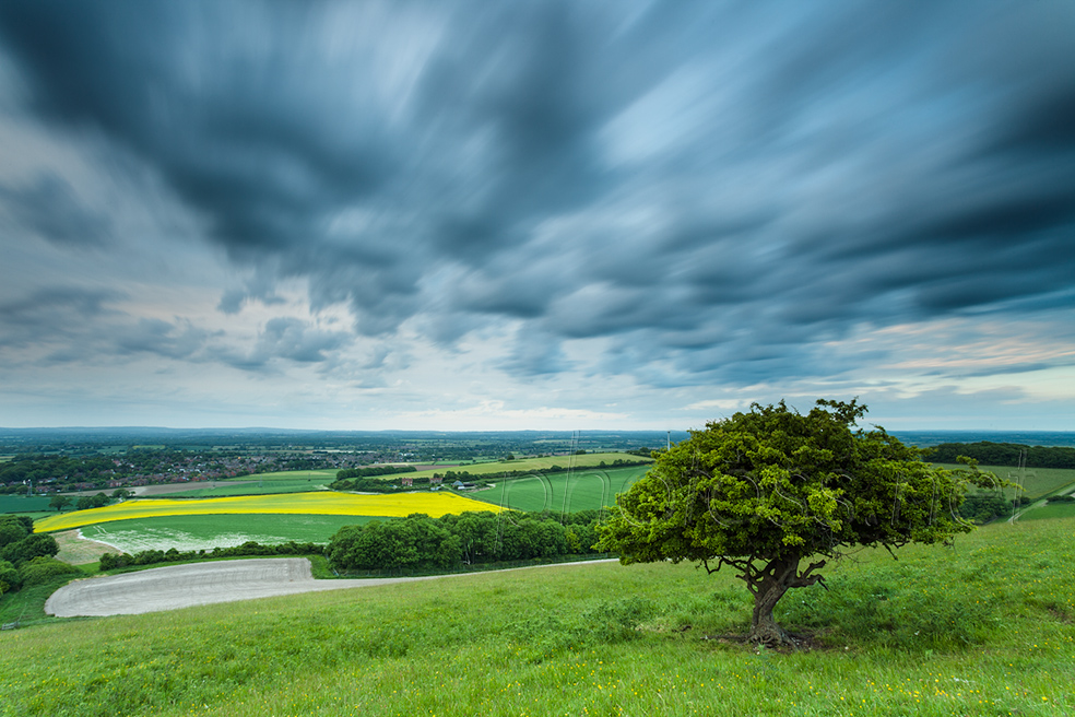 Spring on the South Downs in East Sussex