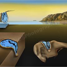 A Plagiarism of Dali 1