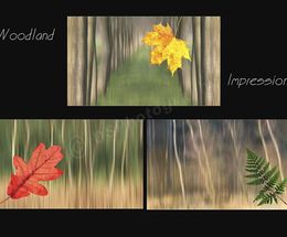 Woodland Impression