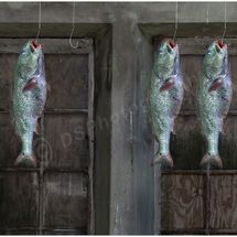 Fish 2