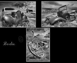 Bodie