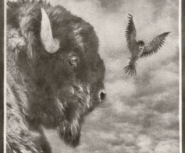Buffalo Eagle