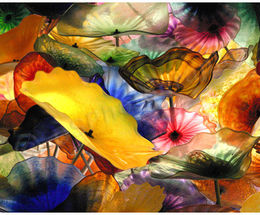 Dream Flowers