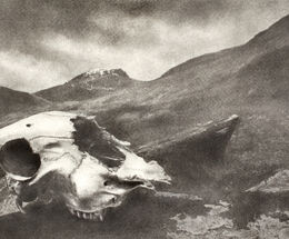 Death in the Hills