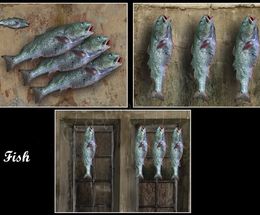 Fish