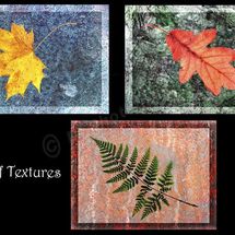 Leaf Textures
