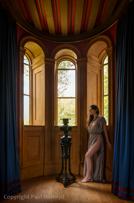 The Grey Dress