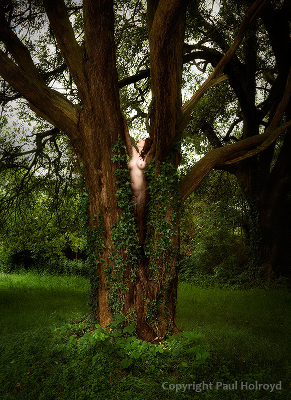 Dryad 2