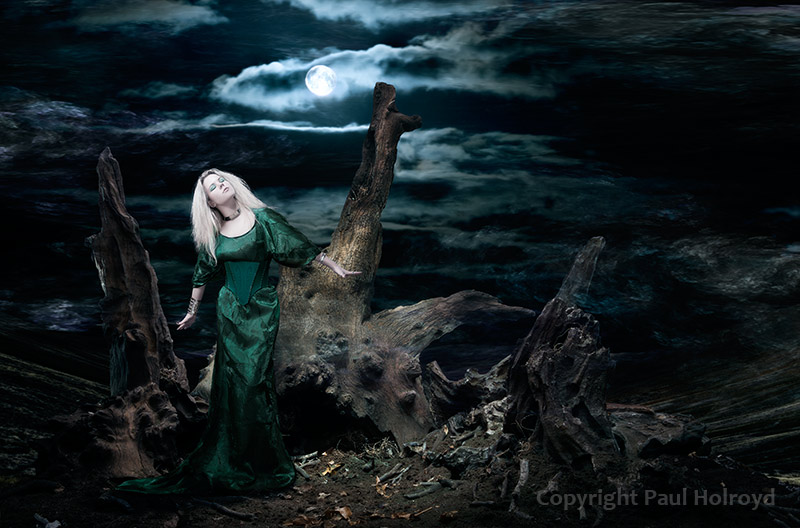 Under A Moonlit Sky