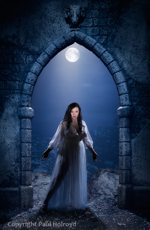 The Vampires' Domain