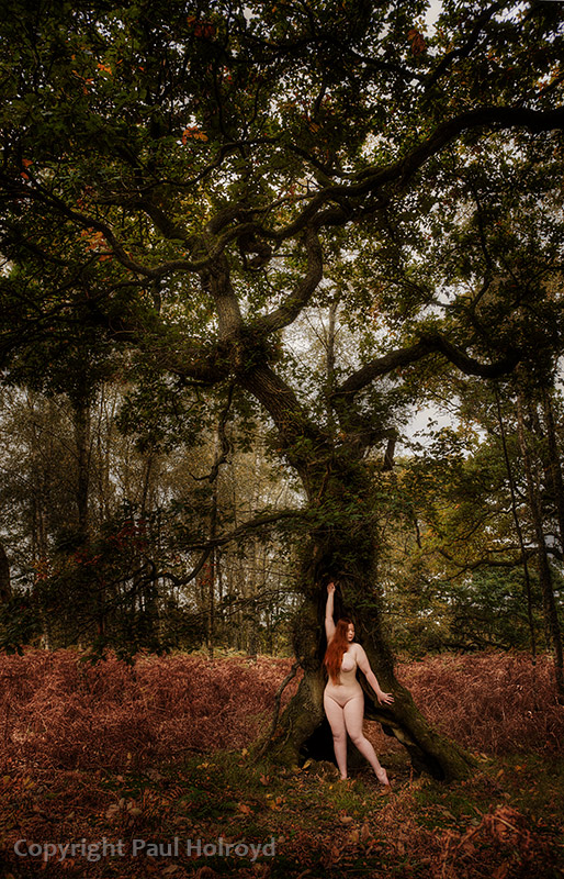 The Tree