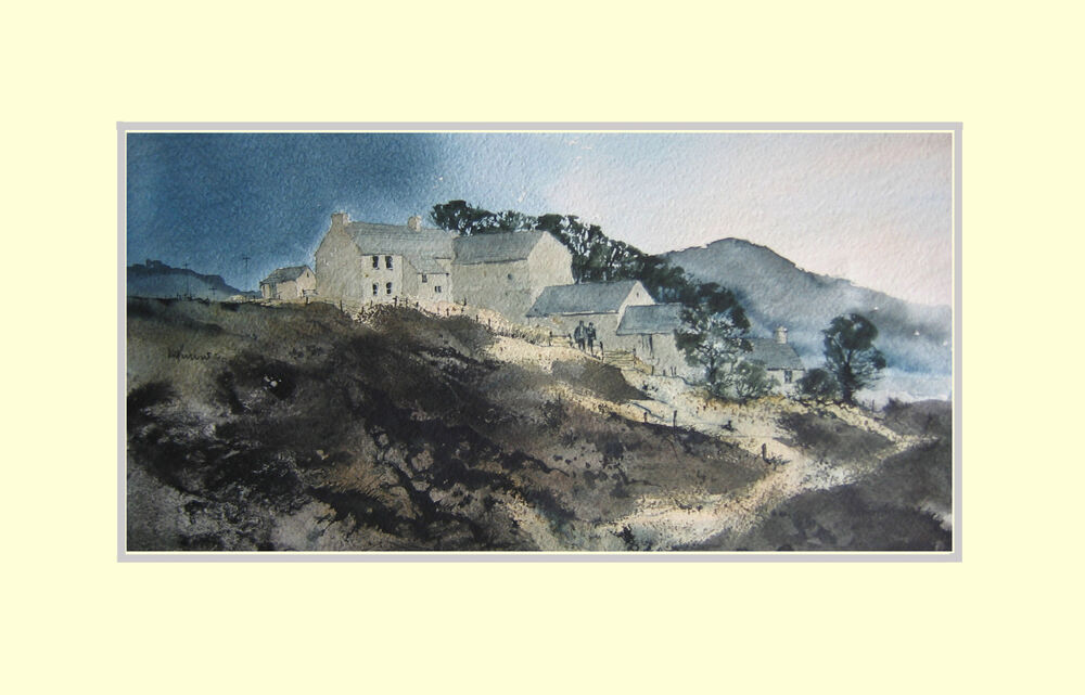 158 Welsh Mountain 2