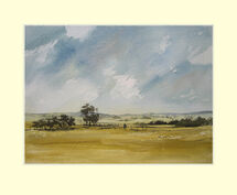 341 Lincolshire Harvest Fields