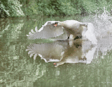 Coming In To Land