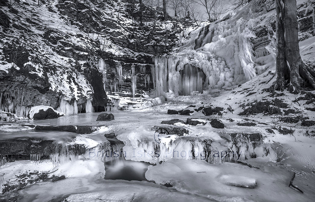 Frozen Scaleber Force