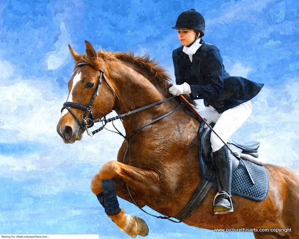 No 2. The Equestrian Champions.