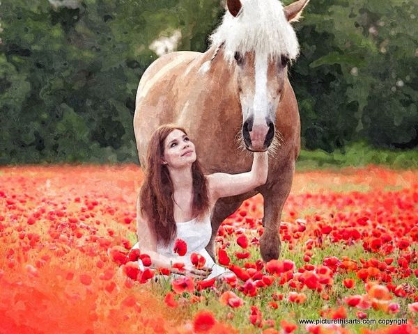 No 12. In the poppy fields.