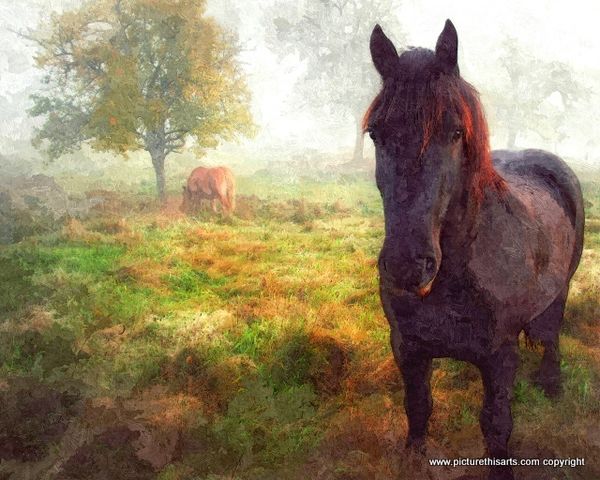 No 13 . Out on the Heath.