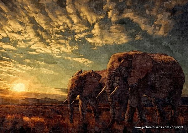 No 9. Elephants at sun set.