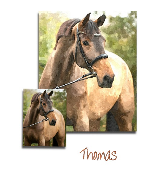 Ideas for using your own photographs.