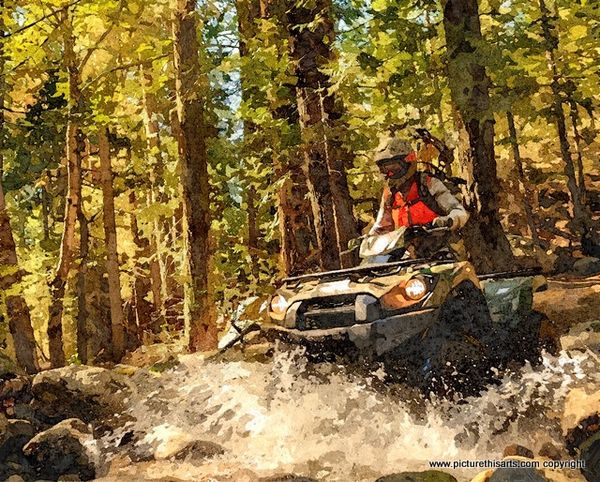 No 19. Offroading through the woods.