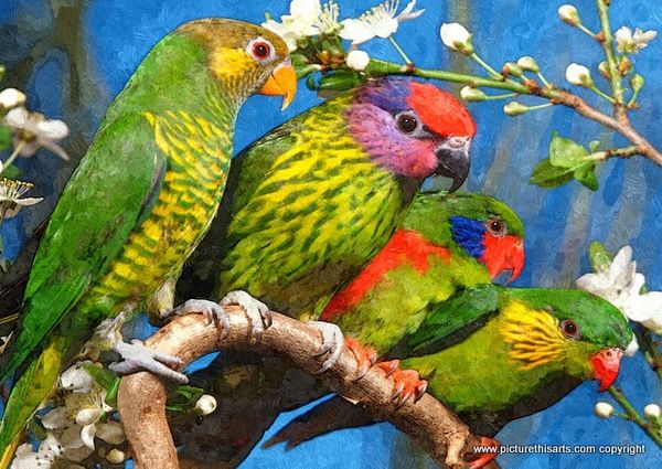 No 22. Four parrots on branch.