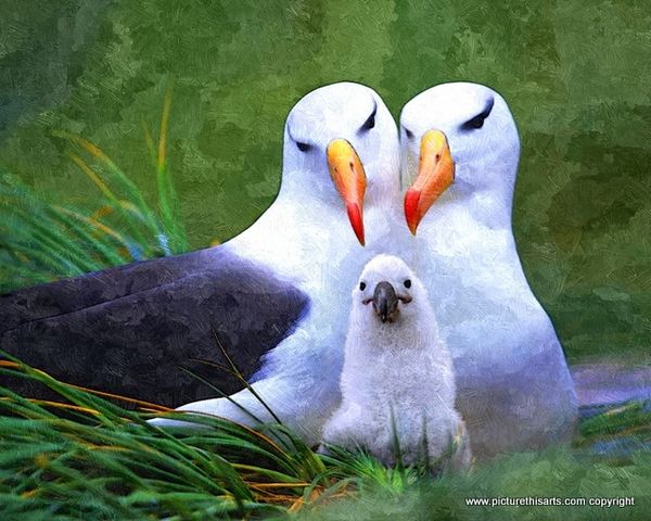 No 25. Proud parents.