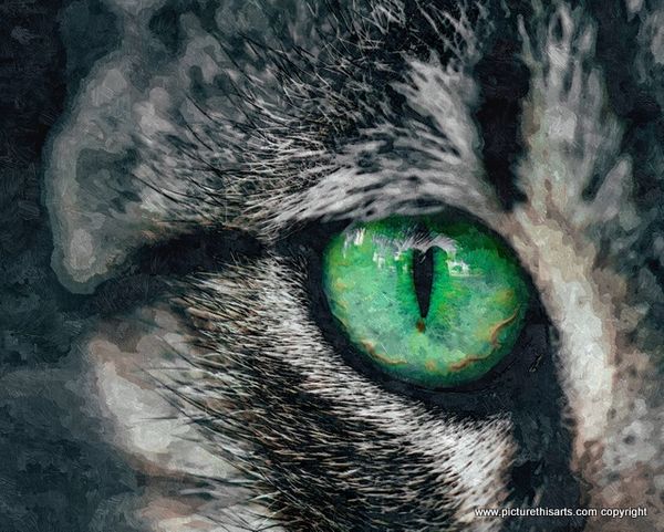 No 21. Cat's eye green.