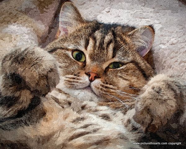 No 22. Go on tinkle my tum.
