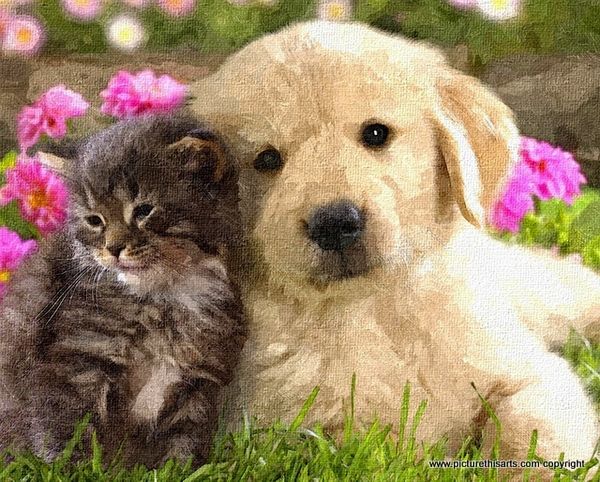 No 23. Best friends.