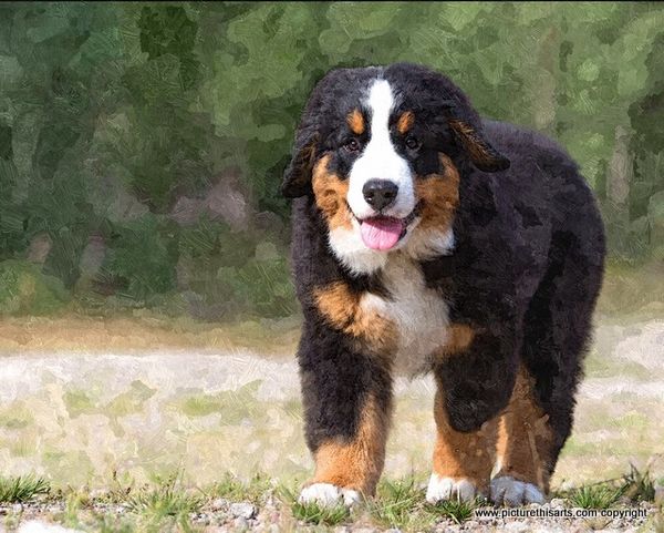 No 48. Out for a stroll.
