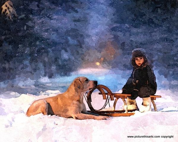 No 60. Sledging buddies.