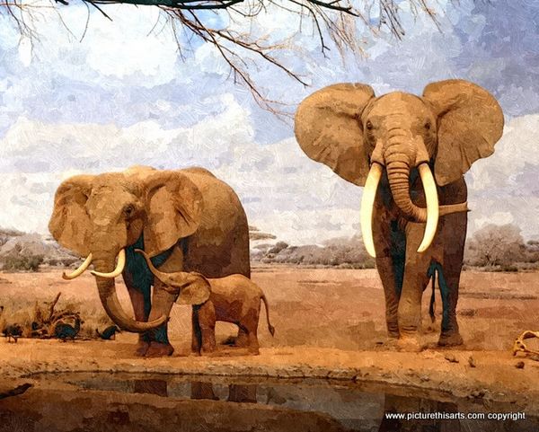 No 7. Elephants at the water hole.