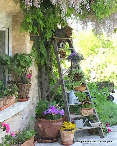 No 3. The Garden ladders.