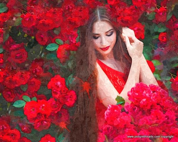 No 24. Darcy amongst the red flowers.