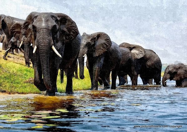 No 13. Down by the river heard of elephants.