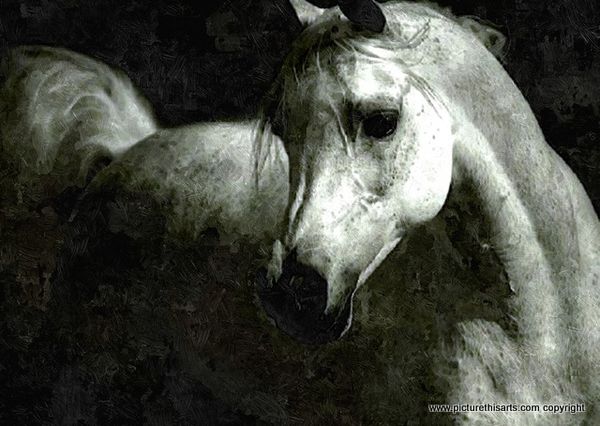 No 23. The Gray Dancer.