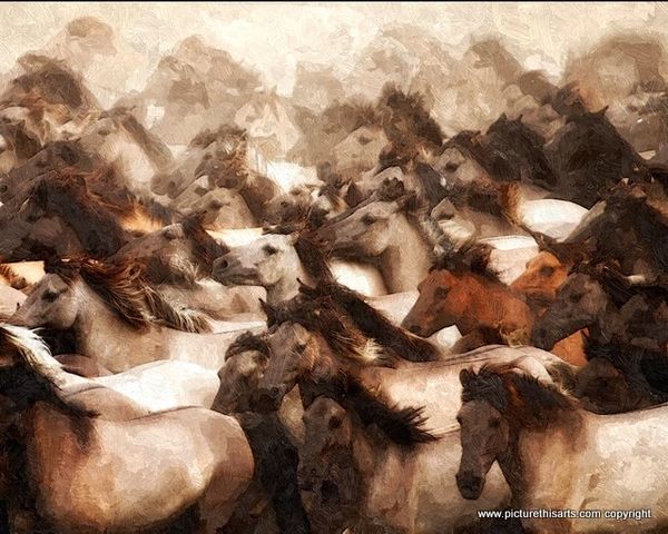 No 39. Wild wild horses.