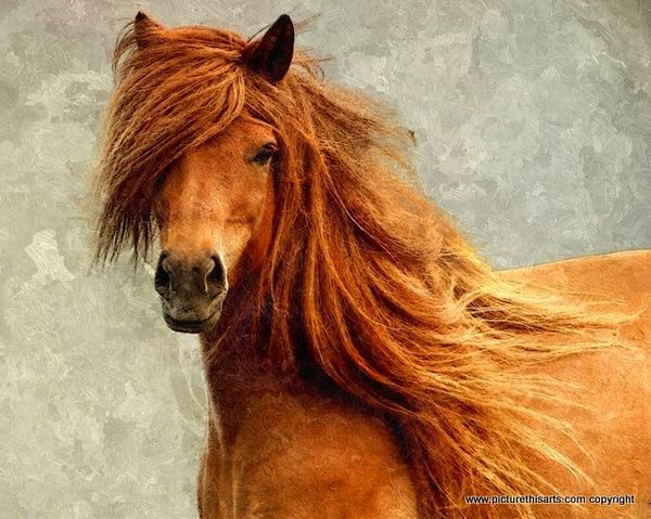No 14. Bad Hair Day